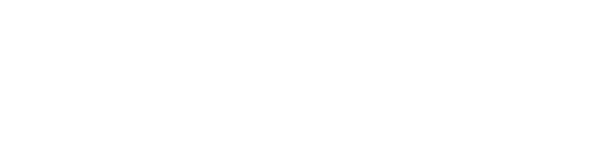 Siametrics Consulting