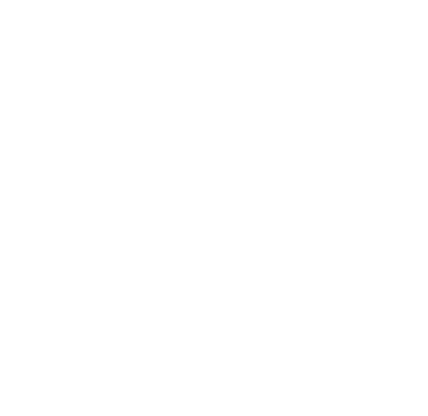 Siametrics Consulting